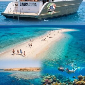 Escursione all'Isola Bianca e Ras Mohamed – Un Paradiso per Tutti