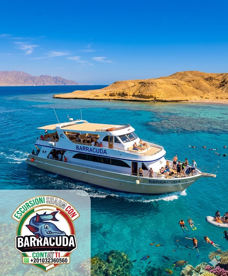 Escursione all'Isola di Tiran con Barracuda Sharm El Sheikh - immagine 4