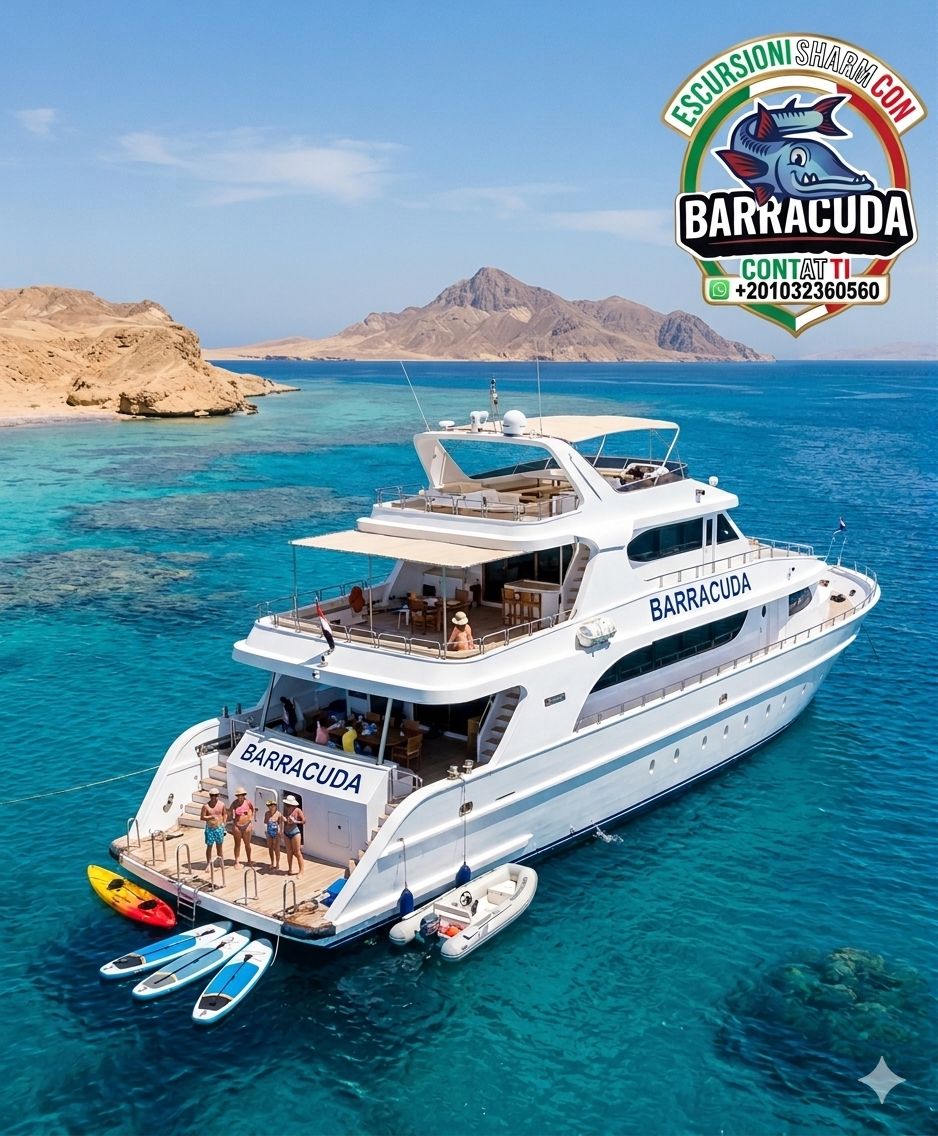Escursione all'Isola di Tiran con Barracuda Sharm El Sheikh - immagine 5