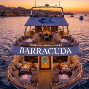 Barracuda Escursioni – Sharm El Sheikh
