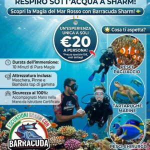 Offerta Imperdibile: Il Tuo Primo Respiro Sott'acqua a Sharm!