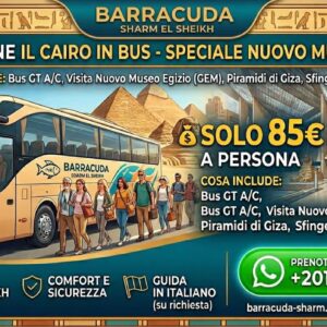 Escursione Il Cairo in Bus – Speciale Nuovo Museo (GEM)