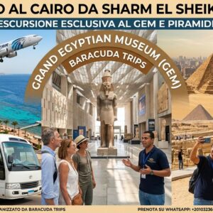 Un Giorno al Cairo da Sharm El Sheikh in Volo