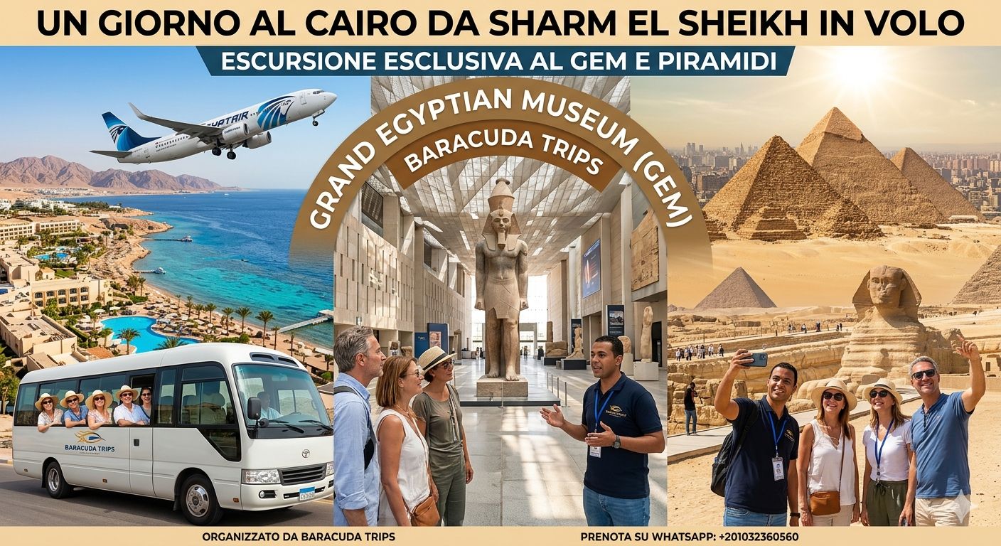 Un Giorno al Cairo da Sharm El Sheikh in Volo