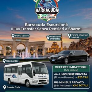 Barracuda Escursioni Sharm El Sheikh – Il Tuo Transfer Senza Pensieri!