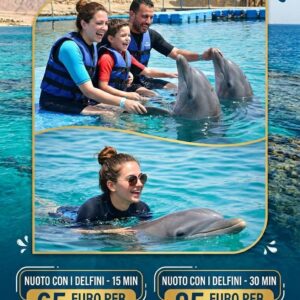 Un’Esperienza Magica: Nuota con i Delfini a Sharm El Sheikh con Barracuda Tours!