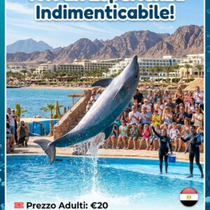 Vivi l’Incanto: Lo Show dei Delfini a Sharm El Sheikh!